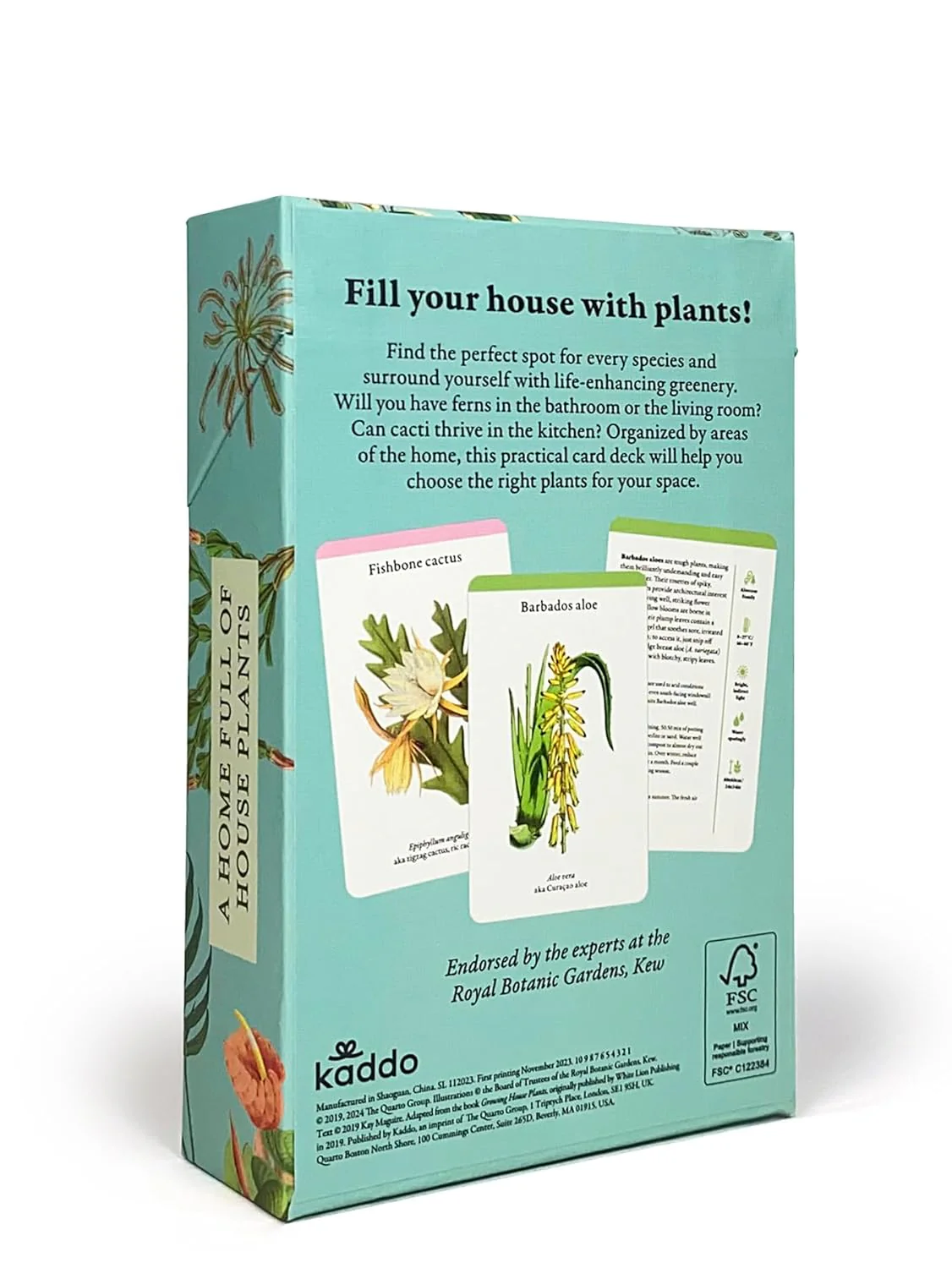A Home Full of House Plants by Kay Maguire - Image 2
