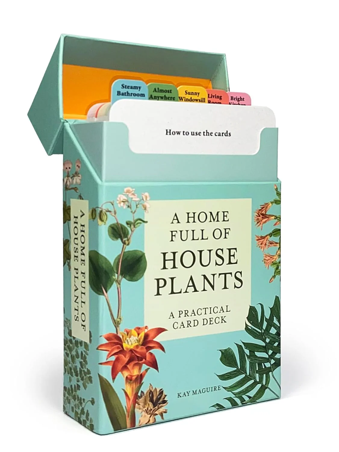 A Home Full of House Plants by Kay Maguire - Image 4