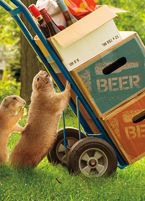 Avanti - Ground Hog Party Fold Out Birthday Card