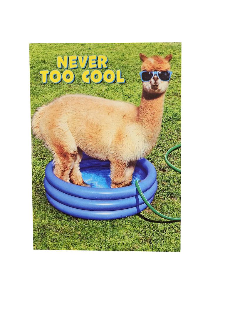 Avanti - Alpaca in Kiddie Pool Birthday Card