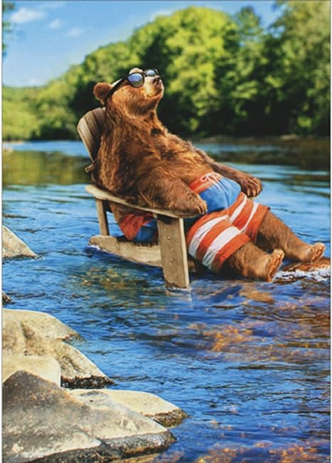 Avanti - Bear in Lounge Chair Birthday Card