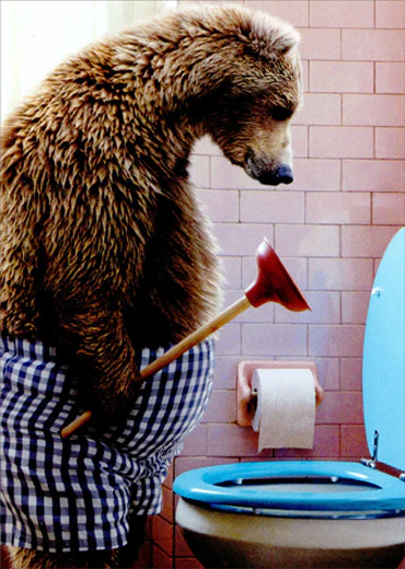 Avanti - Bear with Toilet Plunger Birthday Card