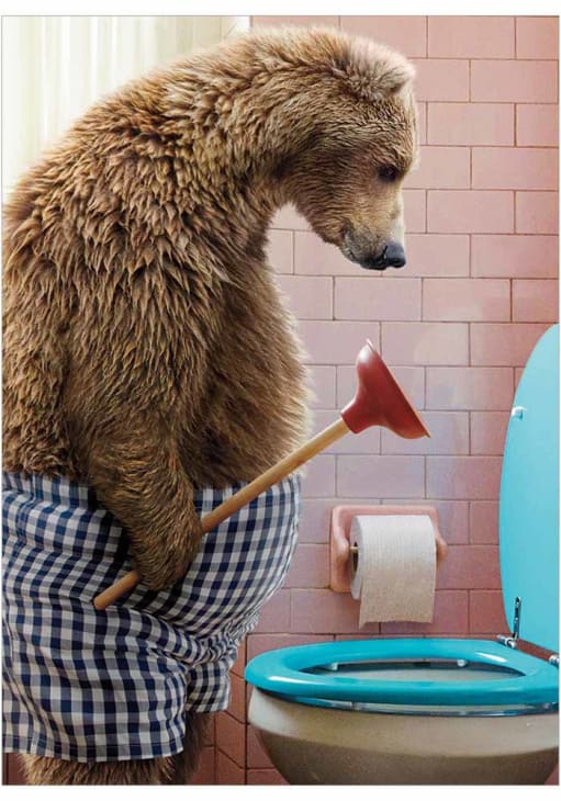 Avanti - Bear With Toilet Plunger Father's Day Card