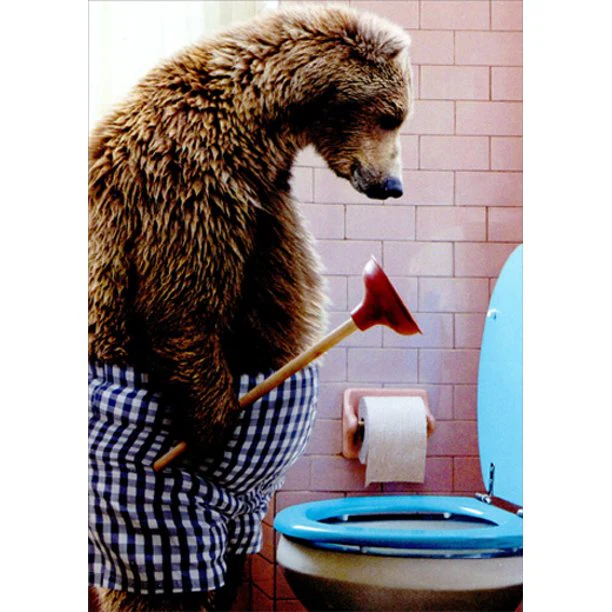 Avanti - Bear with Toilet Plunger Father's Day Card