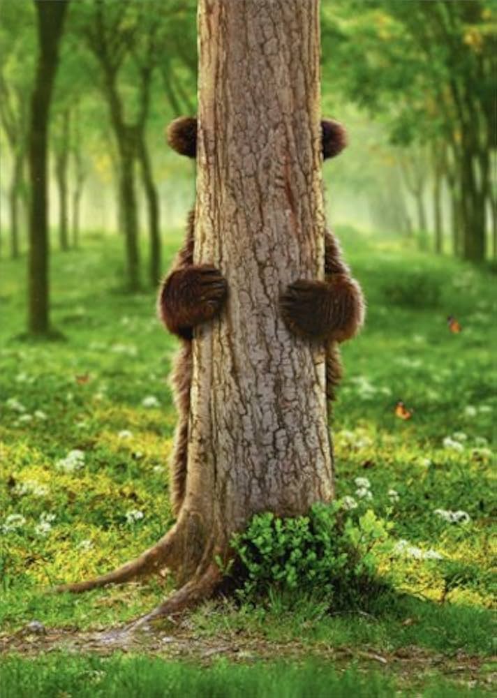 Avanti - Brown Bear Peek-A-Boo Goodbye Card