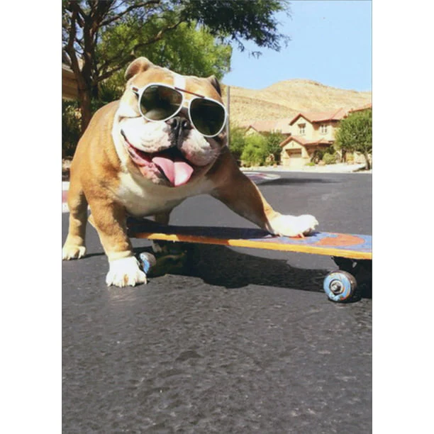 Avanti - Bulldog/Sunglasses/Skateboard Birthday Card