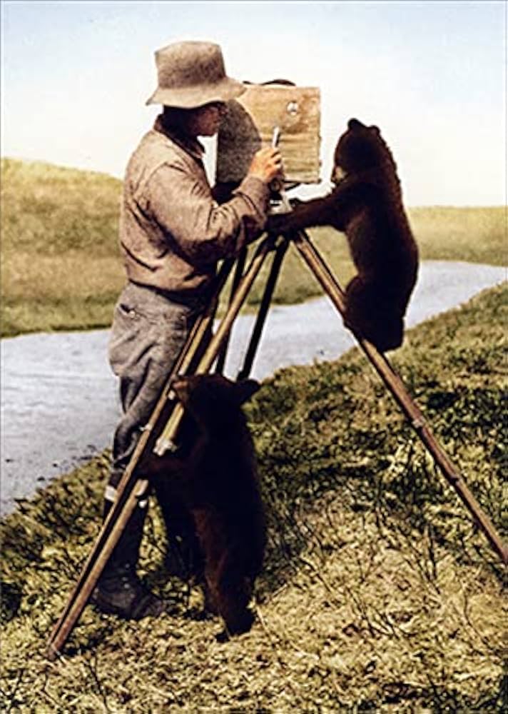 Avanti - Camera Man and Bears Encouragement Card