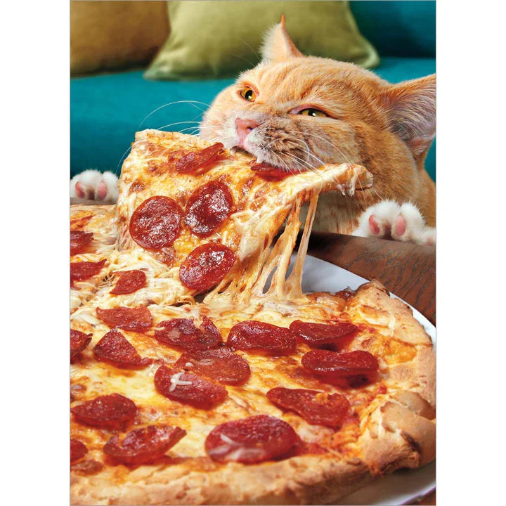 Avanti - Cat Eating Whole Pizza Birthday Card