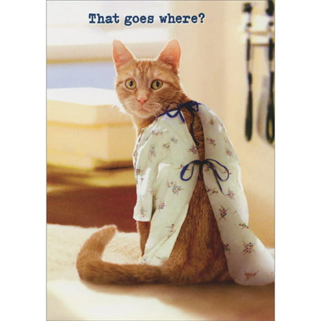 Avanti - Cat in Hospital Gown Get Well Card