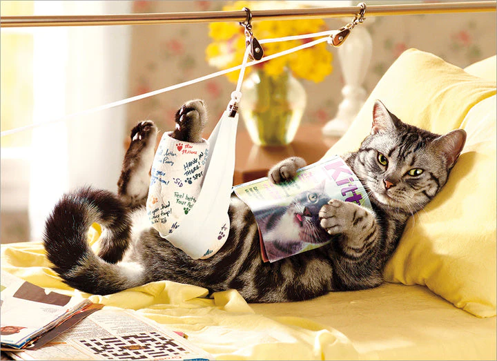 Avanti - Cat in Traction Feel Better Card