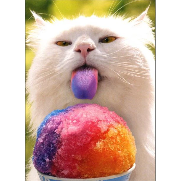 Avanti - Cat Licking Snow Cone Belated Birthday Card