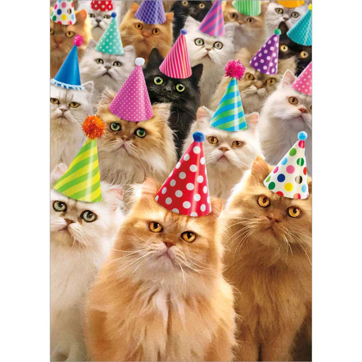 Avanti - Cat Party Birthday Card