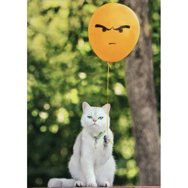 Avanti - Cat with Angry Balloon Birthday Card