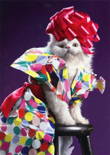 Avanti - Cat with Bow Happy Birthday Card