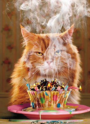 Avanti - Cat with Cupcake Birthday Card