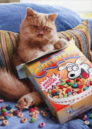 Avanti - Cereal Cat Pop Out Birthday Card