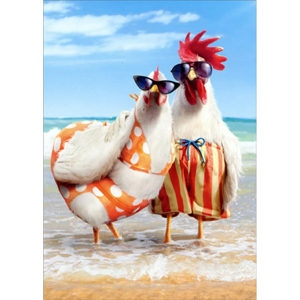 Avanti - Chicken Couple on Beach Anniversary Card