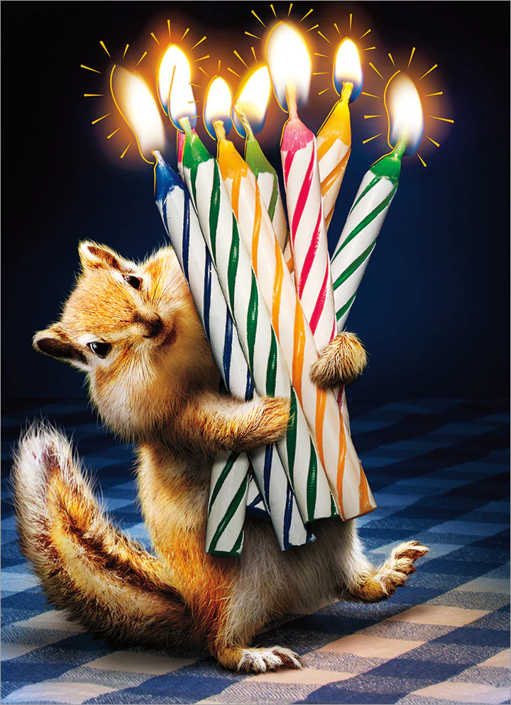 Avanti - Chipmunk Birthday Candles Birthday Card
