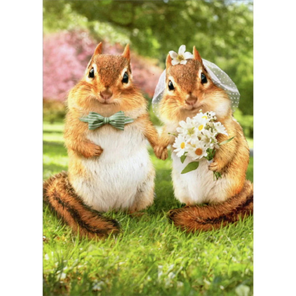 Avanti - Chipmunk Bride and Groom Wedding Card