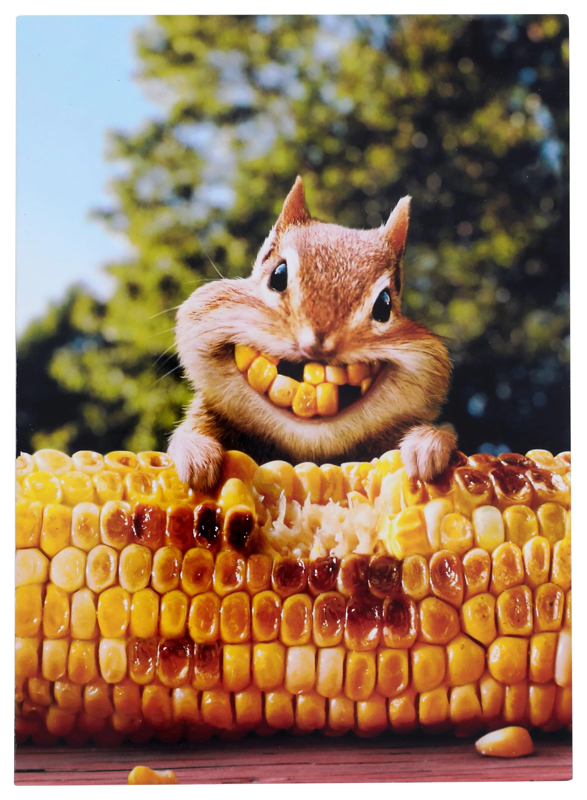 Avanti - Chipmunk Corn Teeth Friendship Card