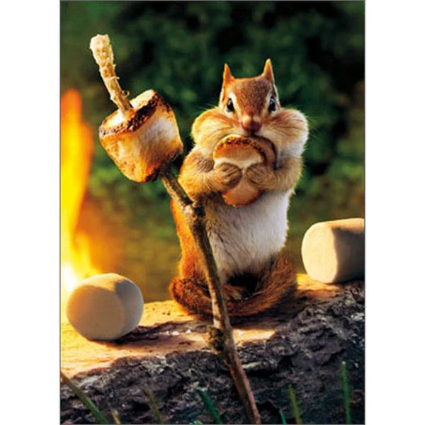 Avanti - Chipmunk Roasts Marshmallow Birthday Card