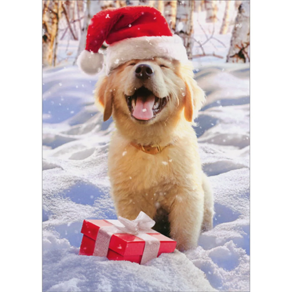 Avanti - Christmas Santa Puppy Christmas Card