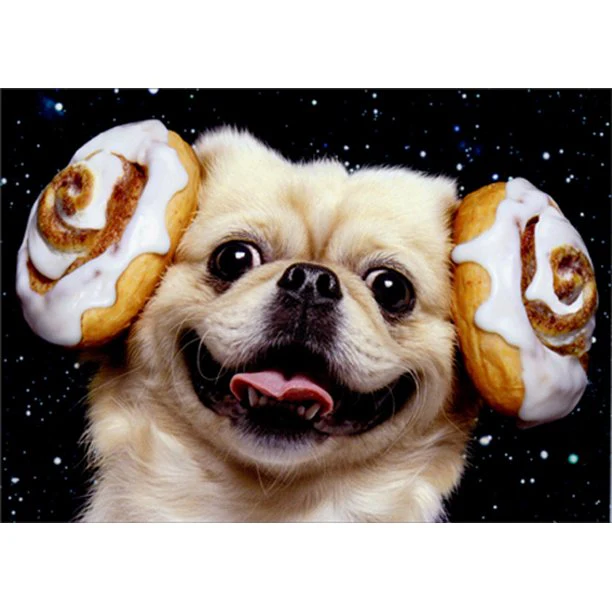 Avanti - Cinnamon Bun Star Wars Dog Birthday Card