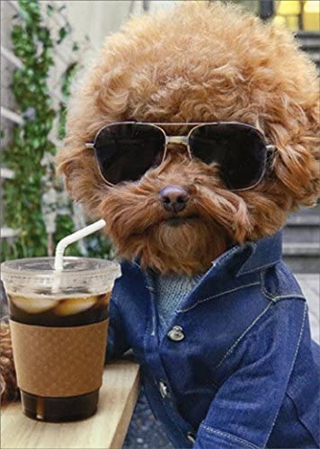 Avanti - Cool Dog with Coffee Birthday Card