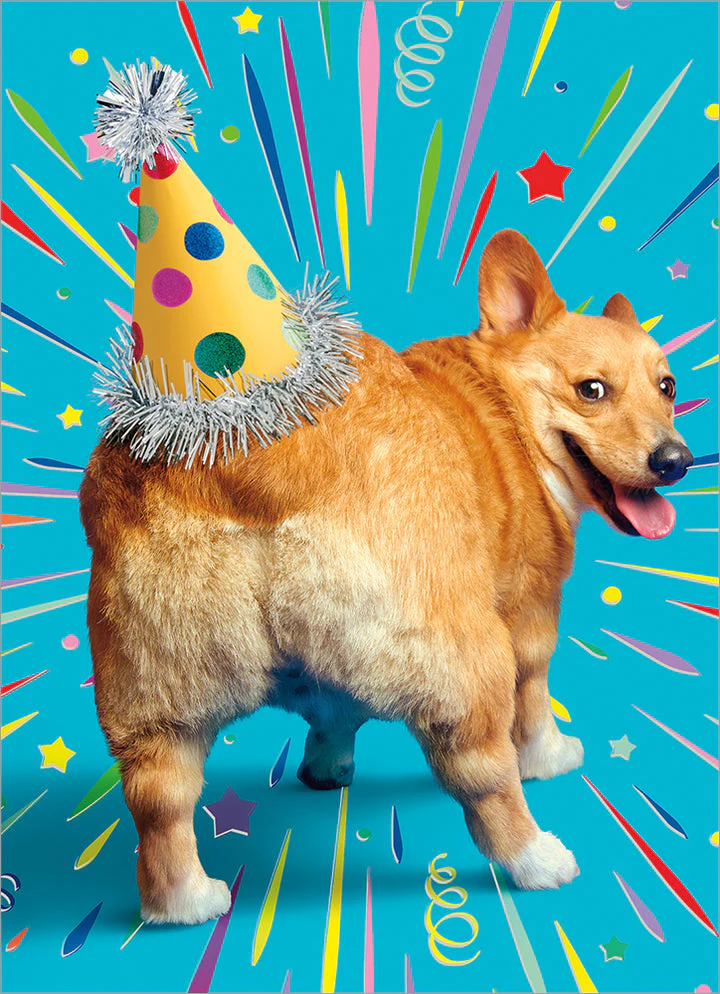 Avanti - Corgi Butt Hat-Embel Birthday Card
