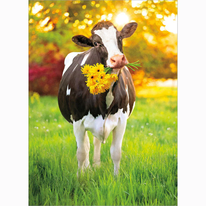 Avanti - Cow Delivers Flowers Get Well Card