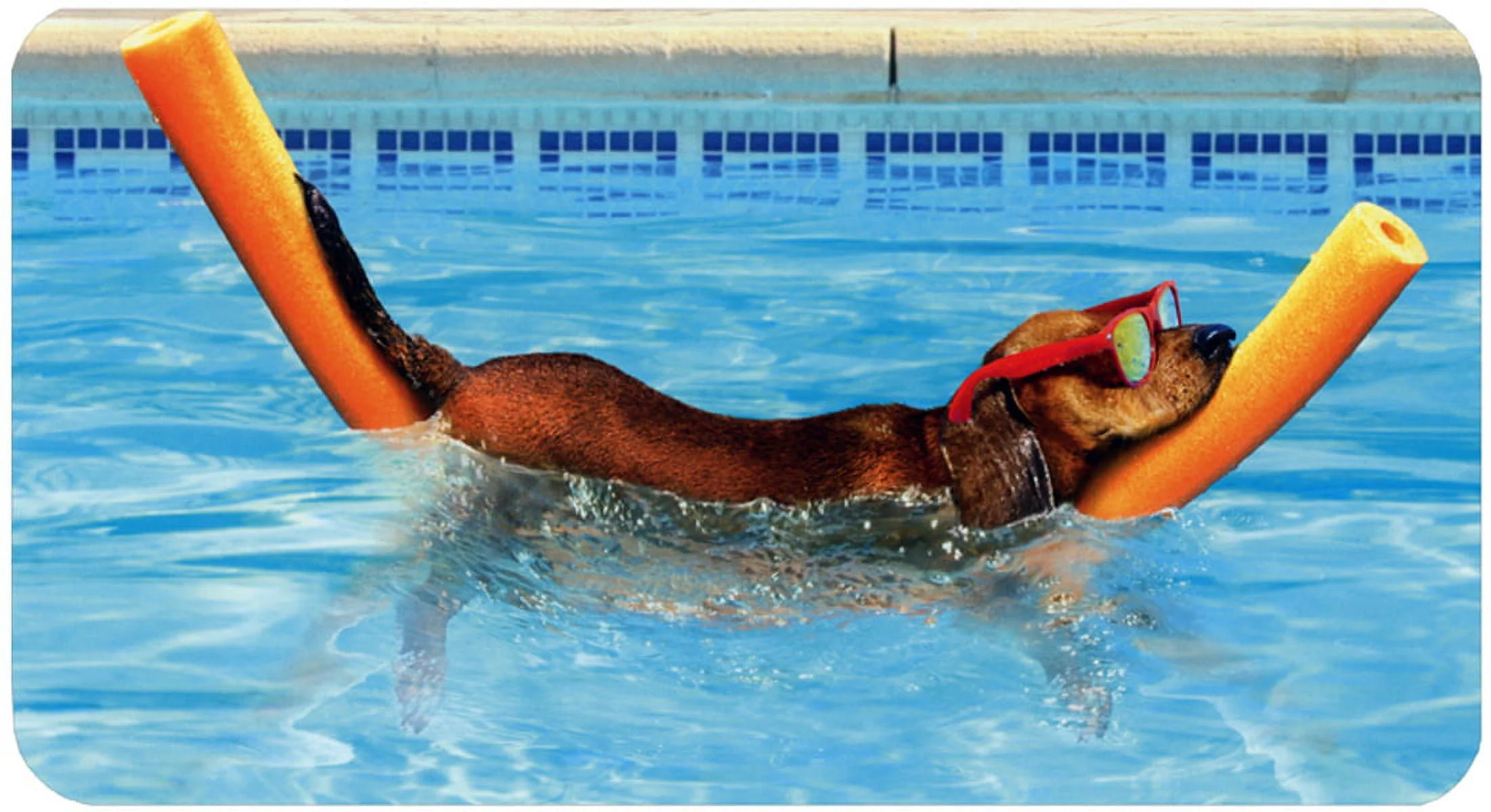 Avanti - Dachshund Floating on Pool Noodle Retirement Card