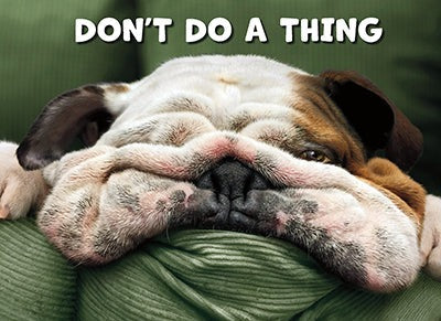 Avanti - Dog Face on Pillow Get Well Card