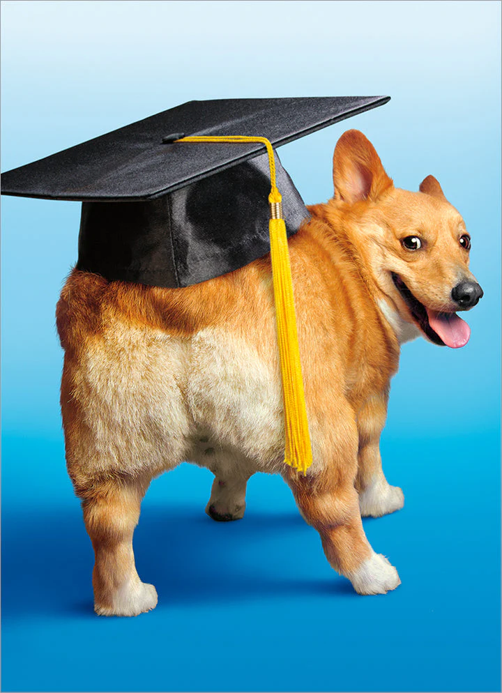 Avanti - Dog Grad Corgi Butt Graduation Card