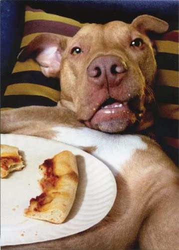 Avanti - Dog Pizza Plate Birthday Card