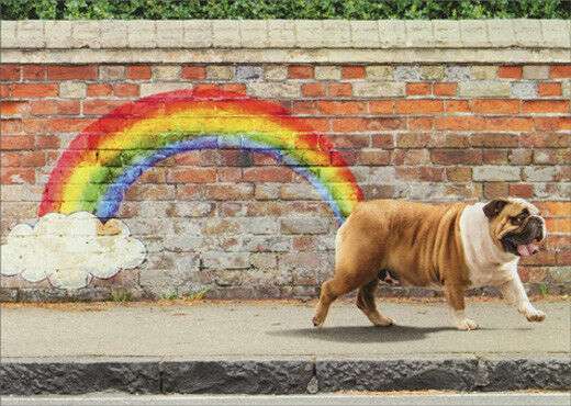 Avanti - Dog Rainbow Fart Birthday Card