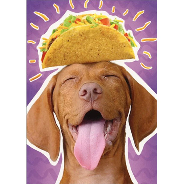 Avanti - Dog Taco Head Birthday Card