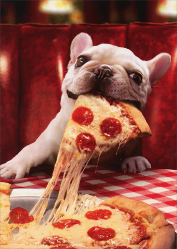 Avanti - Dog with Cheesy Pizza Birthday Card
