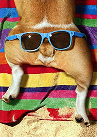 Avanti - Dog with Glasses on Butt Belated Birthday Card