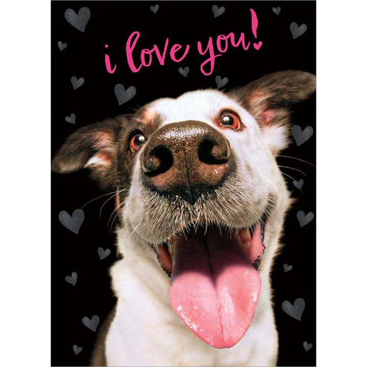 Avanti - Dog With Heart Shaped Tongue Valentine Card