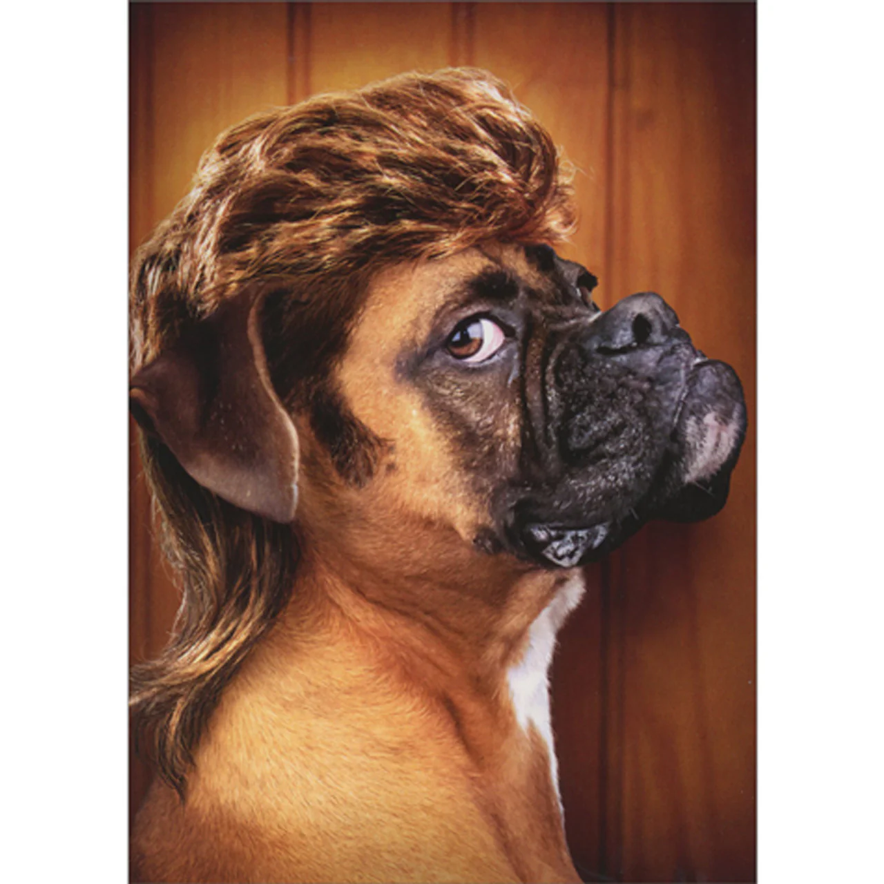 Avanti - Dog With Mullet Birthday Card