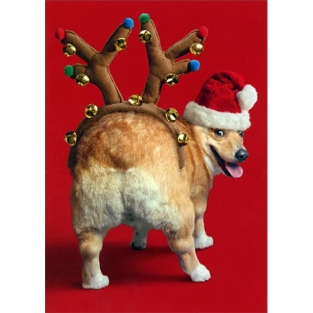 Avanti - Dog with Reindeer Antlers on Butt Christmas Card