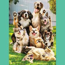 Avanti - Dogs Waving Birthday Card