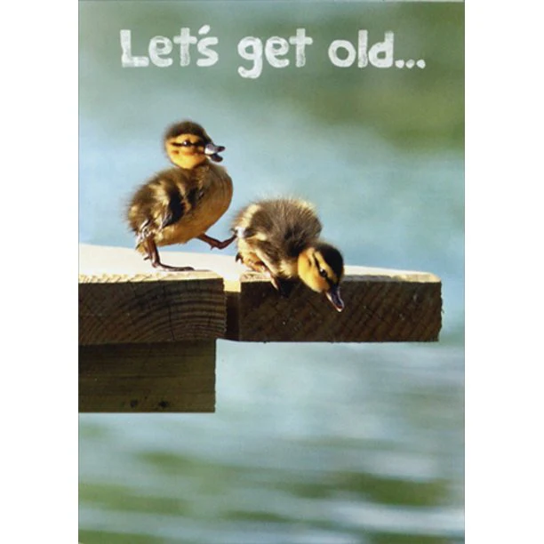 Avanti - Ducklings on Dock Birthday Card