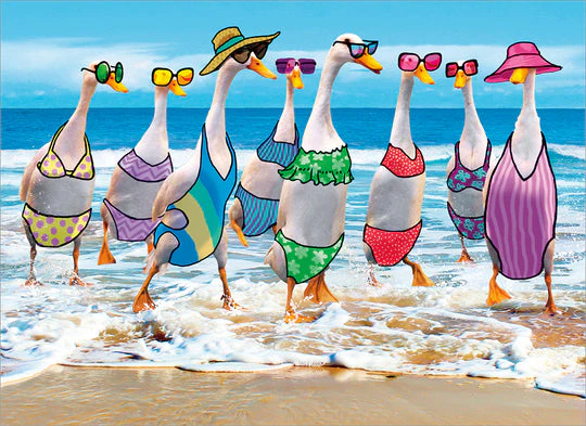 Avanti - Ducks on Beach Birthday Card