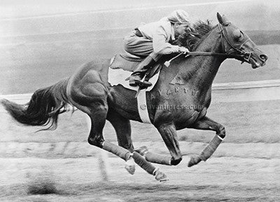 Avanti - Eddie and Whirlaway Birthday Card