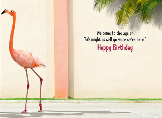 Avanti - Flamingo Bathroom Break Fold Out Birthday Card - Image 2