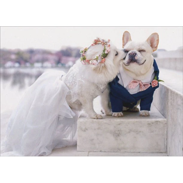Avanti - French Bulldogs Wedding Card