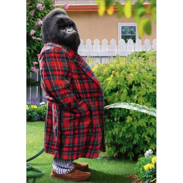 Avanti - Gorilla Garden Hose Father's Day Card