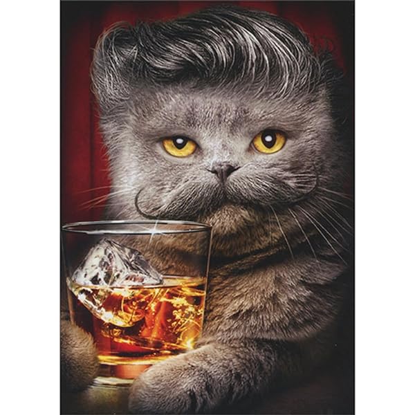 Avanti - Gray Cat With Mustache Birthday Card