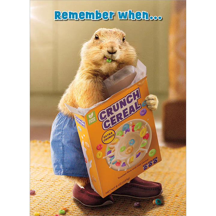 Avanti - Groundhog Cereal Box Birthday Card